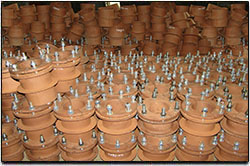 Невский завод ТРУБОДЕТАЛЬ досрочно отгрузил партию сальников по Серии 5.900-2 и 5.900-3 в адрес строительного холдинга.