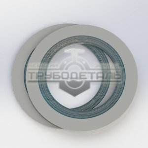 прокладка СНП ANSI